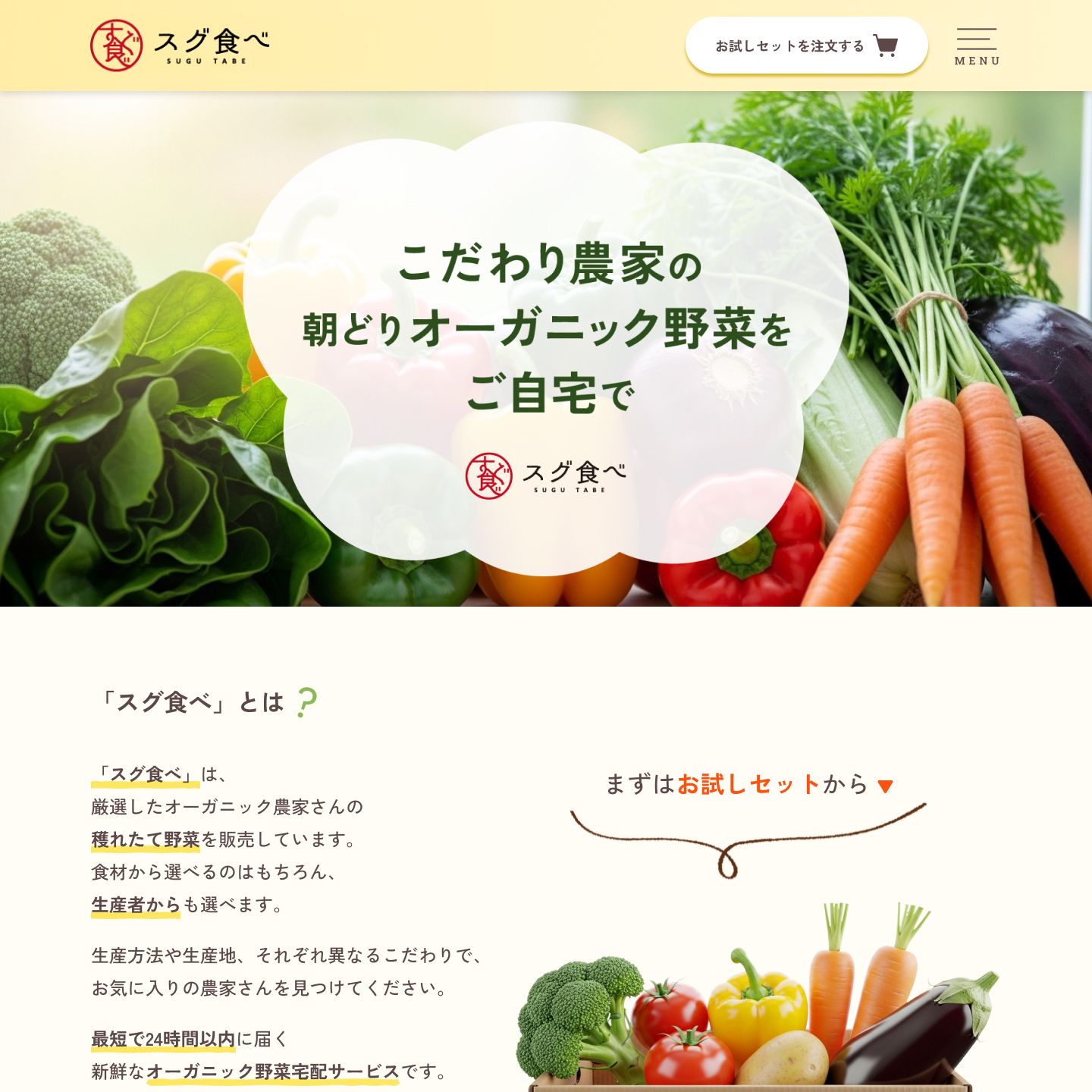 架空のオーガニック野菜宅配サービスのLPサイトのイメージ画像